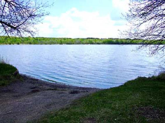 Image of body of water lined with trees